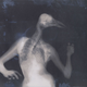 Illustration for article titled Hybrid X-ray images of bird people and octopus women